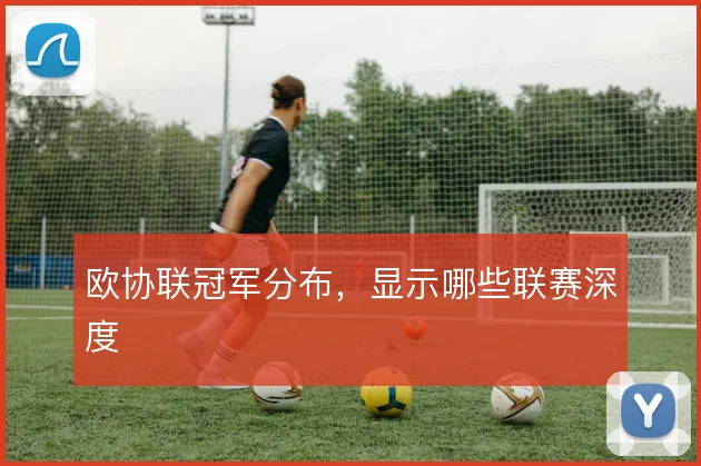 欧协联冠军分布，显示哪些联赛深度